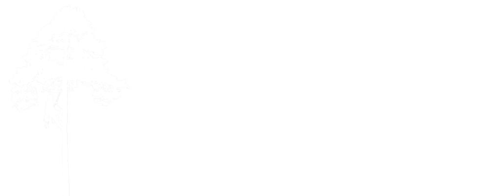 logo Tree Care Tom